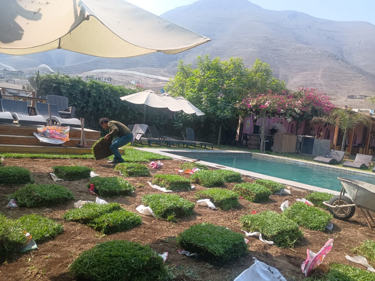 Trabajo con grass natural