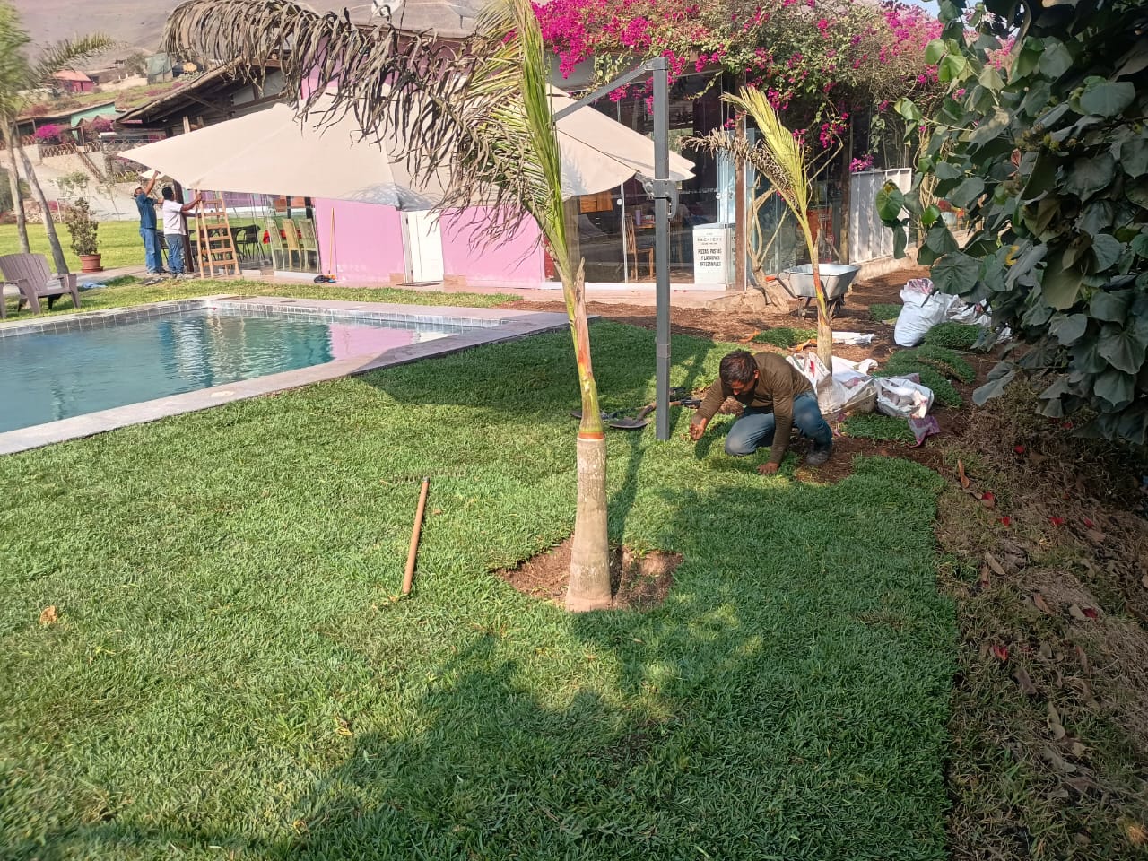 Rehabilitación de áreas verdes