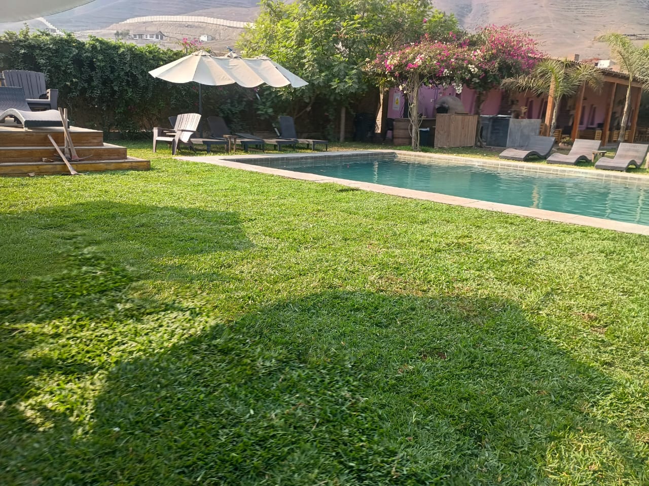 Área verde rehabilitada