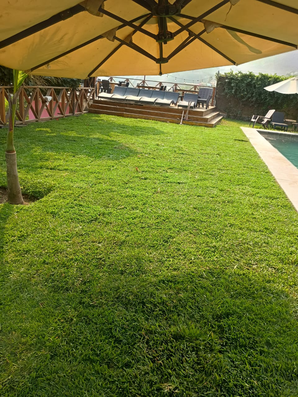 Área verde en excelente estado